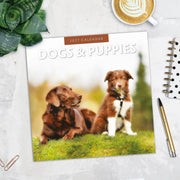 2027 Square Wall Calendar Dogs & Puppies image 5 – thumbnail