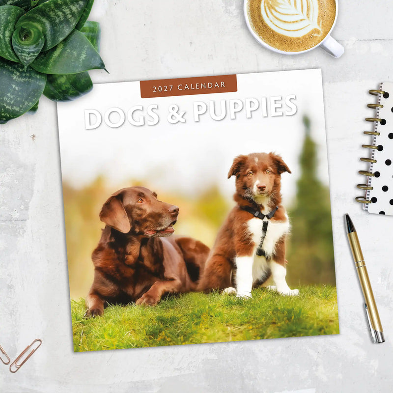 2027 Square Wall Calendar Dogs & Puppies image 5