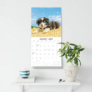 2027 Square Wall Calendar Dogs & Puppies image 6 – thumbnail
