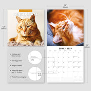 2027 Square Wall Calendar Ginger Cats image 3 – thumbnail