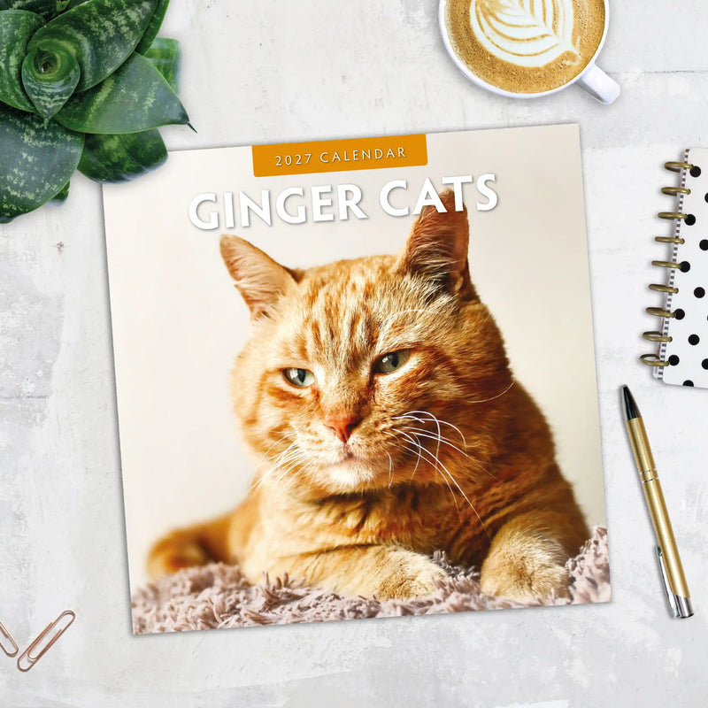 2027 Square Wall Calendar Ginger Cats image 5