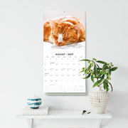 2027 Square Wall Calendar Ginger Cats image 6 – thumbnail