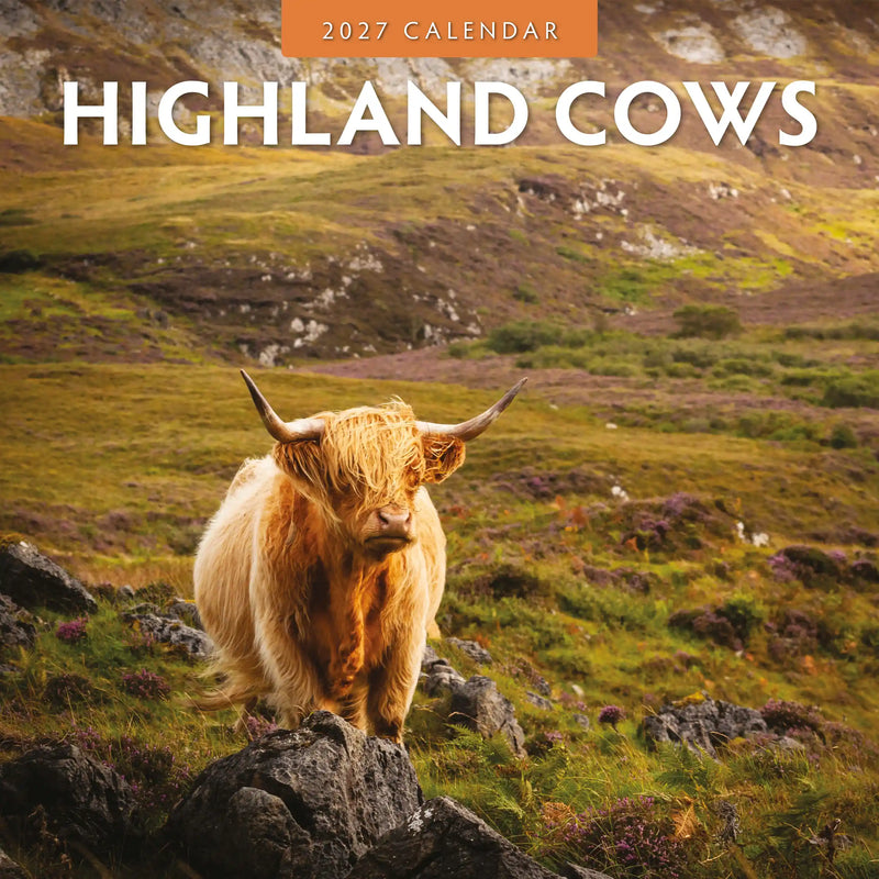 2027 Highland Cows square wall calendar with cattle photography