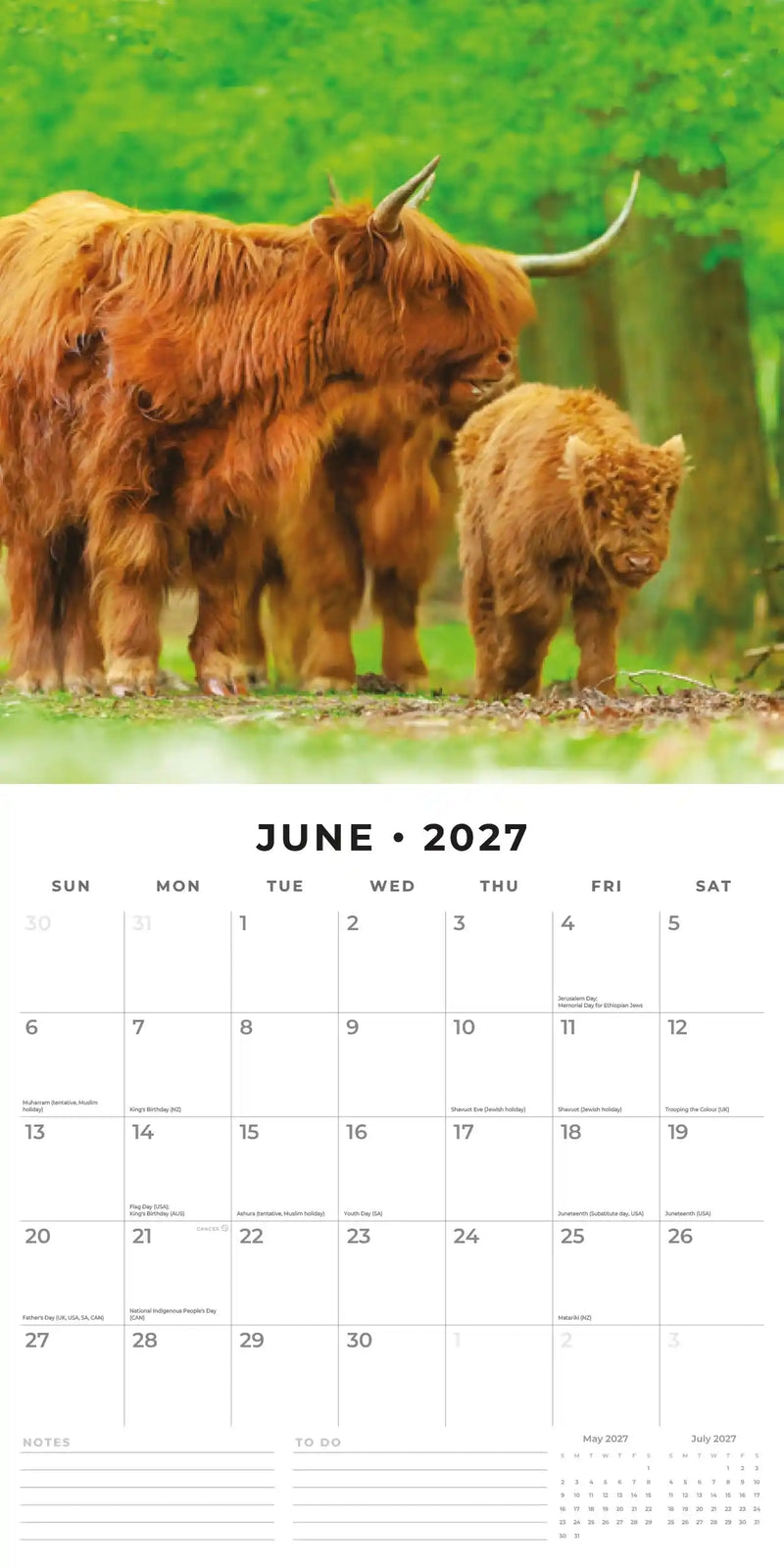 2027 Square Wall Calendar Highland Cows image 4