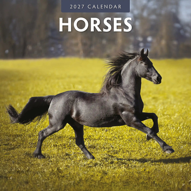 2027 Horses square wall calendar with equestrian photography