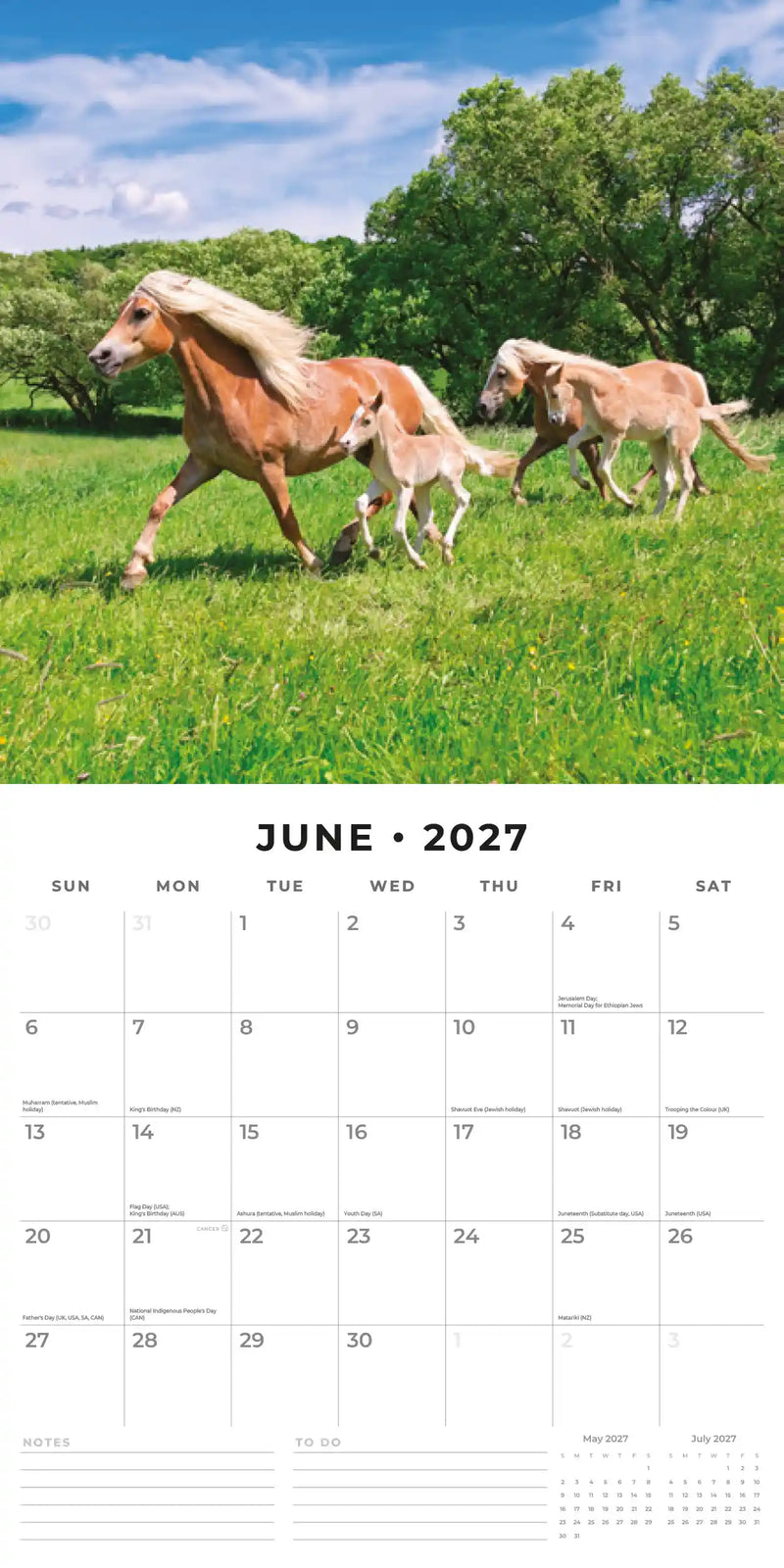 2027 Square Wall Calendar Horses image 4