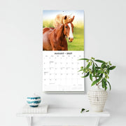 2027 Square Wall Calendar Horses image 6 – thumbnail