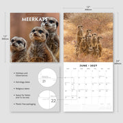 2027 Square Wall Calendar Meerkats image 3 – thumbnail