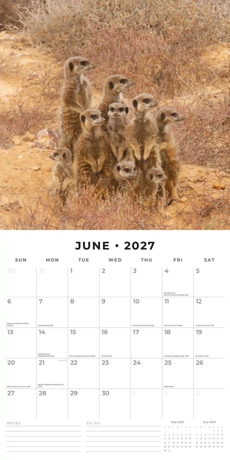 2027 Square Wall Calendar Meerkats image 4