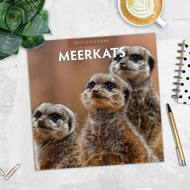 2027 Square Wall Calendar Meerkats image 5
