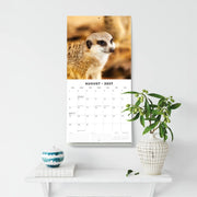 2027 Square Wall Calendar Meerkats image 6 – thumbnail