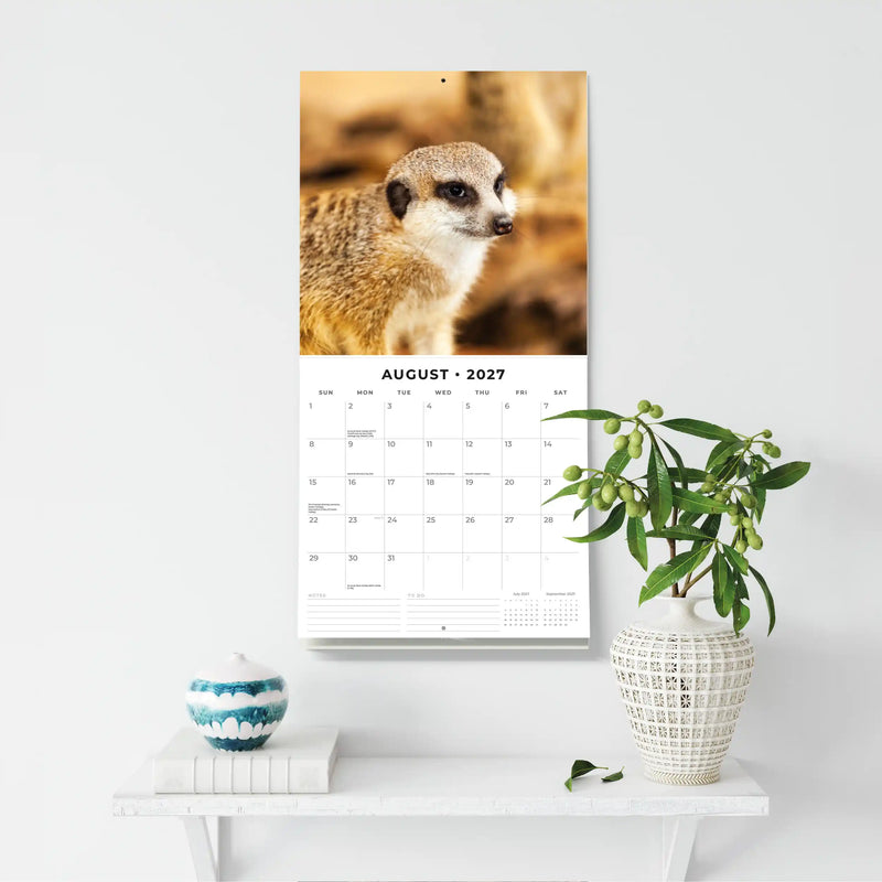 2027 Square Wall Calendar Meerkats image 6