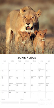 2027 Square Wall Calendar Safari image 4 – thumbnail