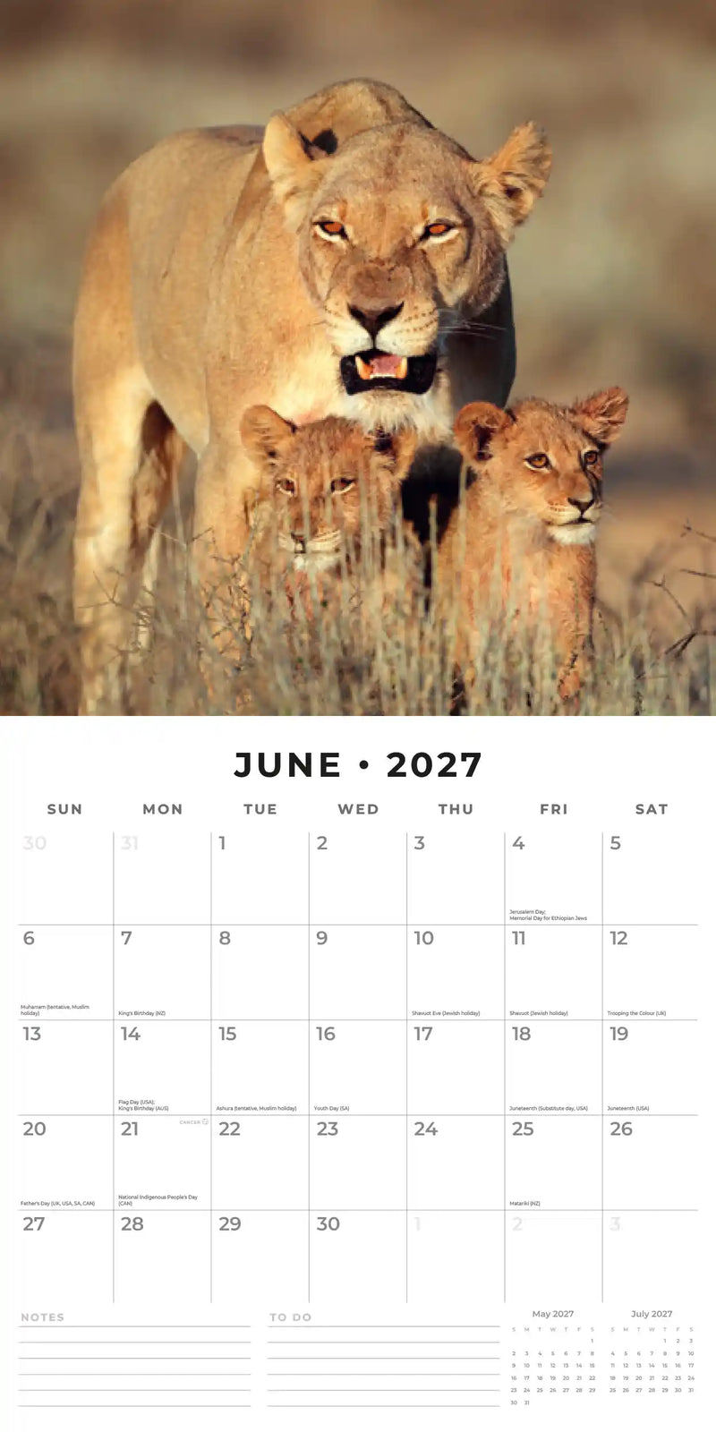 2027 Square Wall Calendar Safari image 4