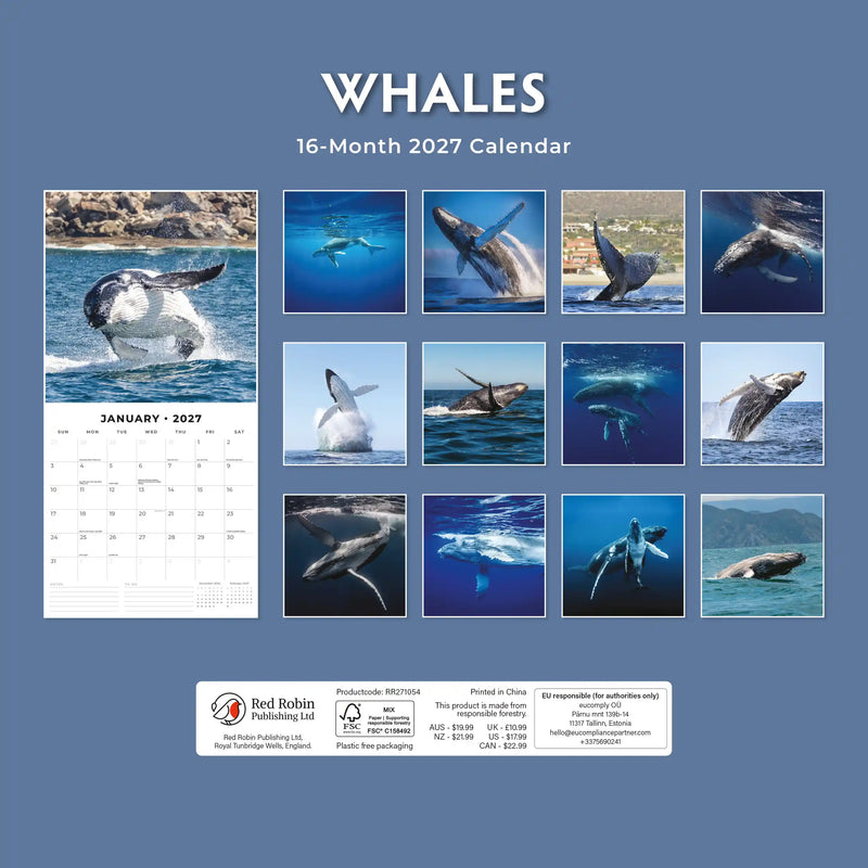 2027 Square Wall Calendar Whales image 2