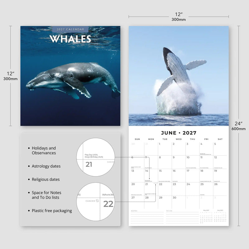 2027 Square Wall Calendar Whales image 3