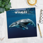 2027 Square Wall Calendar Whales image 5 – thumbnail