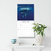 2027 Square Wall Calendar Whales image 6 – thumbnail
