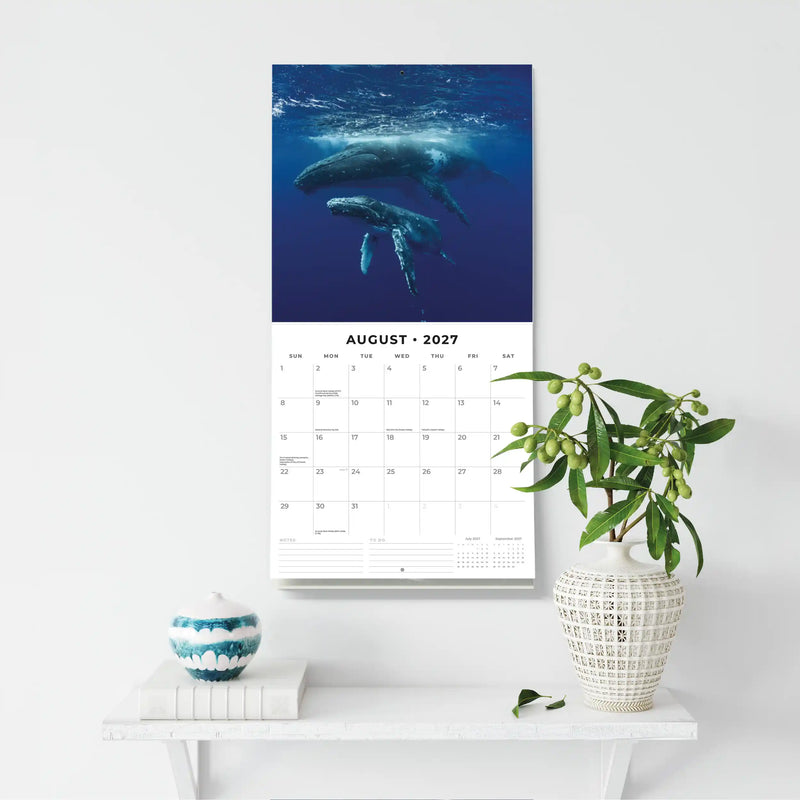 2027 Square Wall Calendar Whales image 6