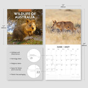 2027 Square Wall Calendar Wildlife of Australia image 3 – thumbnail