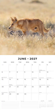 2027 Square Wall Calendar Wildlife of Australia image 4 – thumbnail