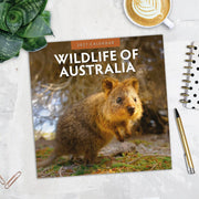 2027 Square Wall Calendar Wildlife of Australia image 5 – thumbnail