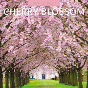 2027 Cherry Blossom square wall calendar with floral imagery – thumbnail
