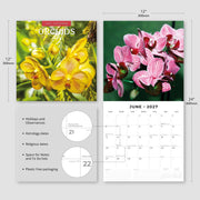 2027 Square Wall Calendar Orchids image 3 – thumbnail