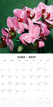 2027 Square Wall Calendar Orchids image 4 – thumbnail