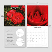 2027 Square Wall Calendar Roses image 3 – thumbnail