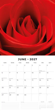 2027 Square Wall Calendar Roses image 4 – thumbnail