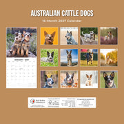 2027 Square Wall Calendar Australian Cattle Dogs image 2 – thumbnail