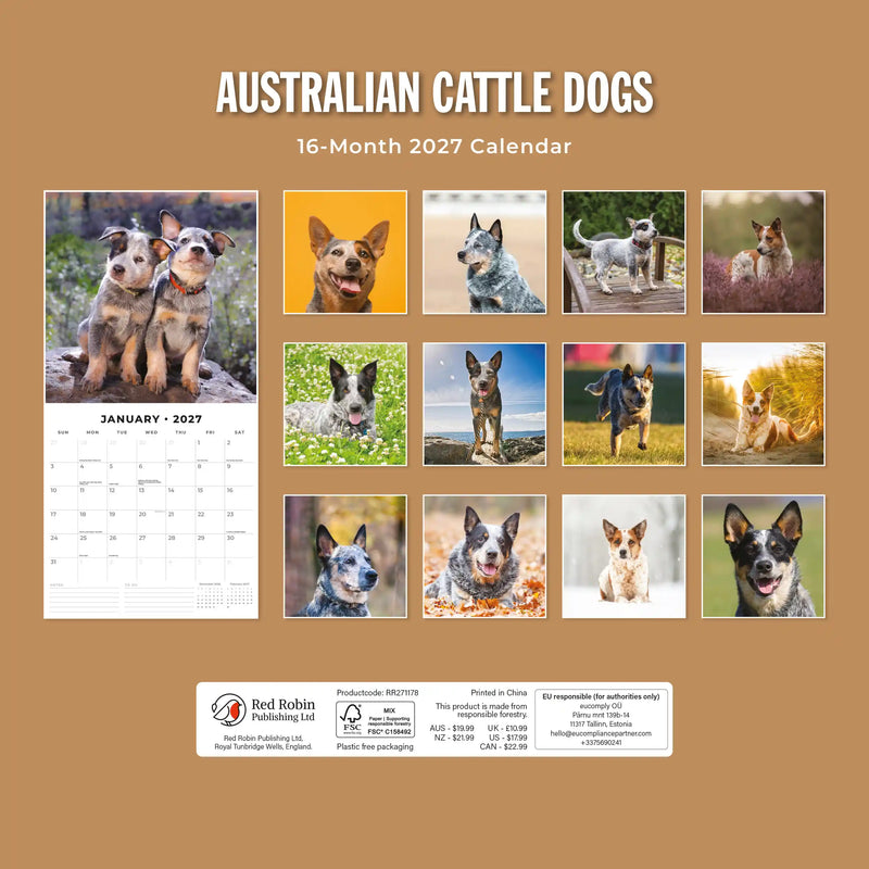 2027 Square Wall Calendar Australian Cattle Dogs image 2