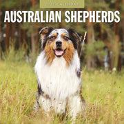 2027 square wall calendar featuring Australian Shepherds – thumbnail