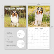 2027 Square Wall Calendar Australian Shepherds image 3 – thumbnail