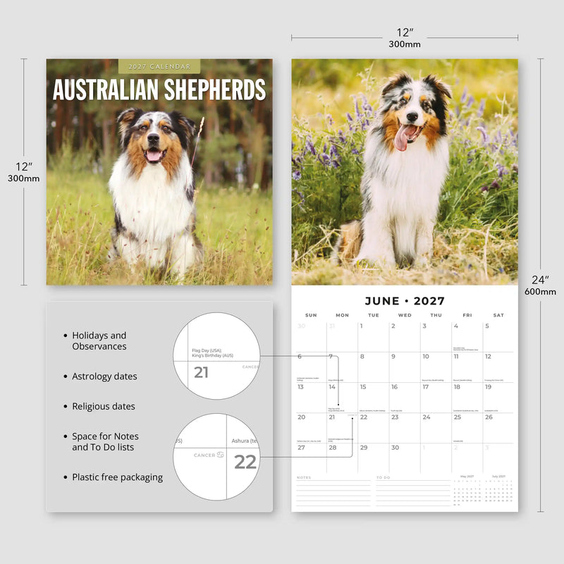 2027 Square Wall Calendar Australian Shepherds image 3