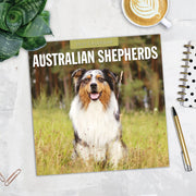 2027 Square Wall Calendar Australian Shepherds image 5 – thumbnail