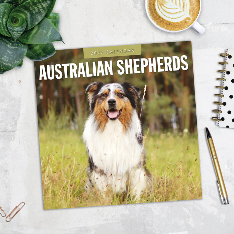 2027 Square Wall Calendar Australian Shepherds image 5