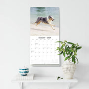 2027 Square Wall Calendar Australian Shepherds image 6 – thumbnail