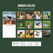 2027 Square Wall Calendar Border Collies image 2 – thumbnail