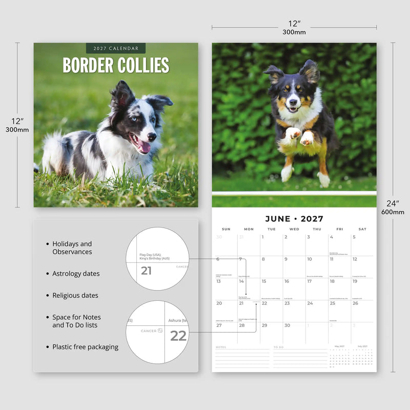 2027 Square Wall Calendar Border Collies image 3