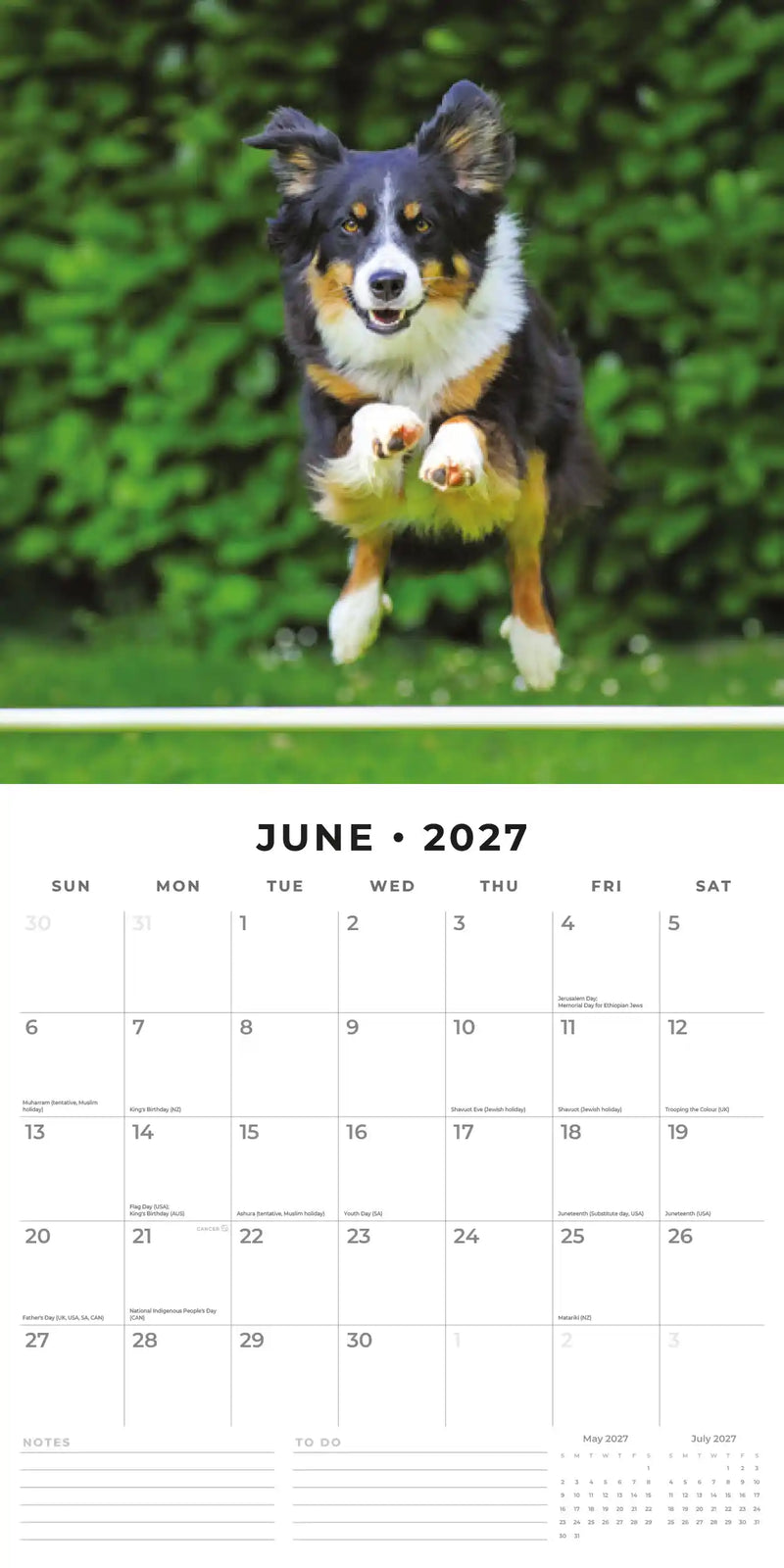 2027 Square Wall Calendar Border Collies image 4