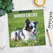 2027 Square Wall Calendar Border Collies image 5 – thumbnail