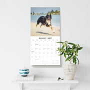 2027 Square Wall Calendar Border Collies image 6 – thumbnail