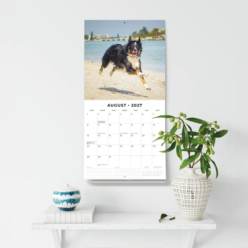 2027 Square Wall Calendar Border Collies image 6