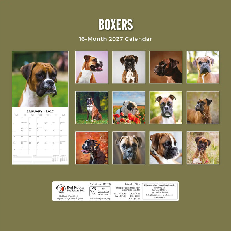 2027 Square Wall Calendar Boxers image 2