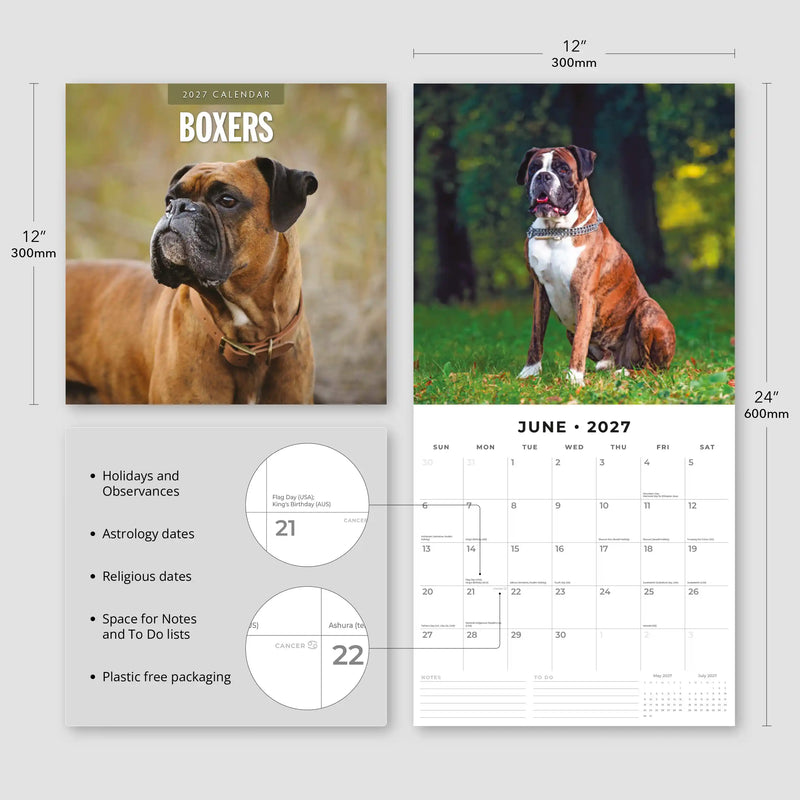 2027 Square Wall Calendar Boxers image 3