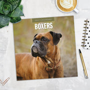 2027 Square Wall Calendar Boxers image 5 – thumbnail