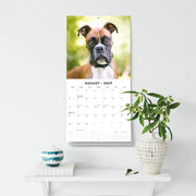 2027 Square Wall Calendar Boxers image 6 – thumbnail