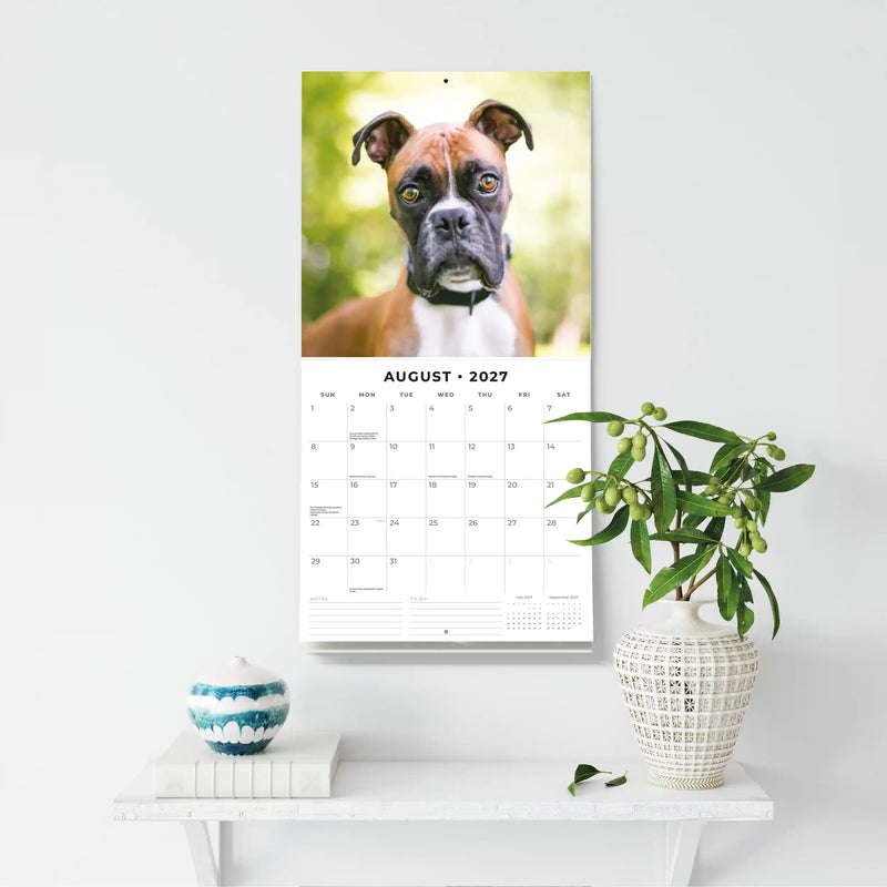 2027 Square Wall Calendar Boxers image 6